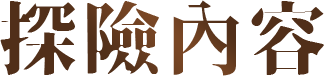探險內容